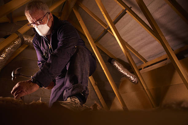 Best Commercial Insulation in Wheelersburg, OH